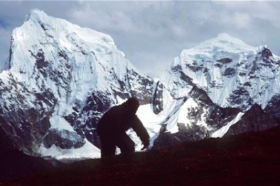 Bí ẩn về 'Người tuyết' đã được giải mã?